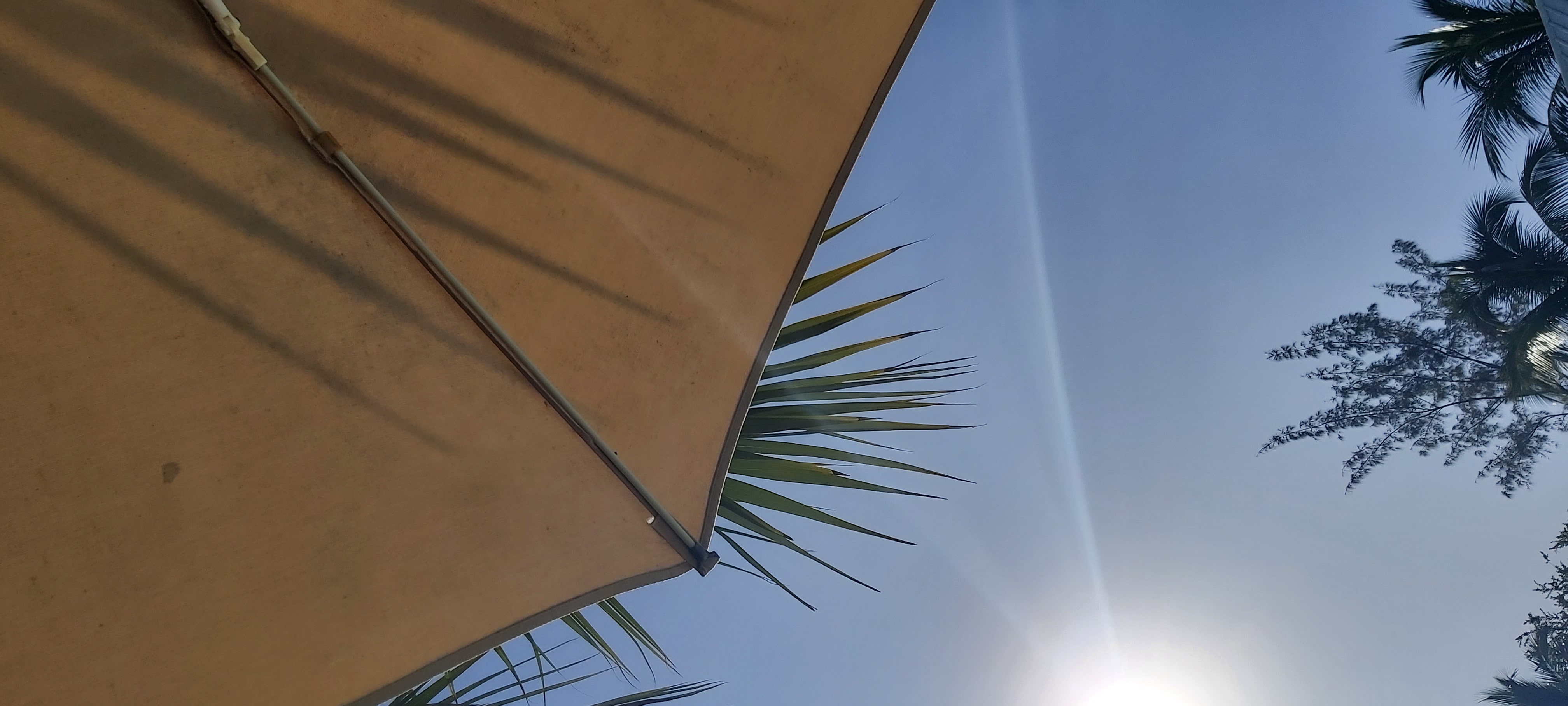 Saint Gilles - Journée détente: piscine, punch planteur, déjeuner et café