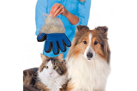Gant de Brossage de Poils pour Toilettage d'Animaux de Compagnie