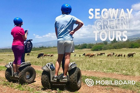 Des sensations uniques et inoubliables dans le plus grand confort avec une sortie en gyropode Segway au cœur de la forêt d’Etang Salé