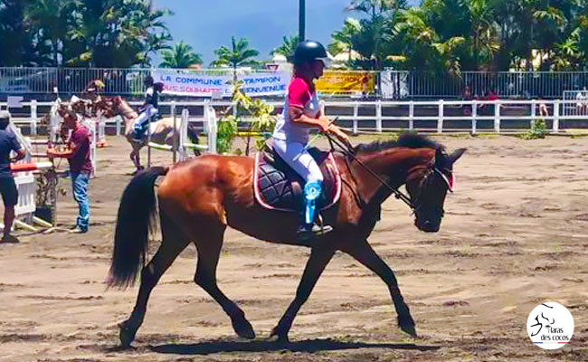 Stage d'équitation (matinée)