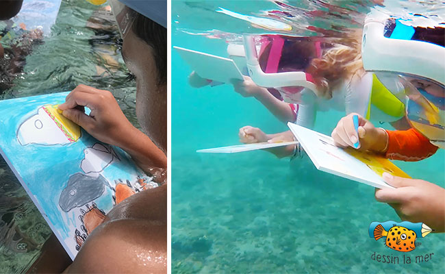 Initiation à l'art du dessin sous l'eau 