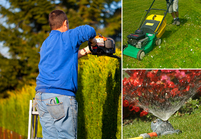 3h d'entretien de votre jardin dans la région Sud-Est