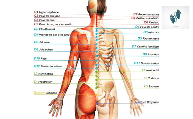 Massage intuitif  corps entier (1h15)