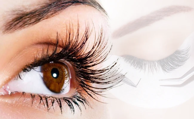 Extension de cils à cils