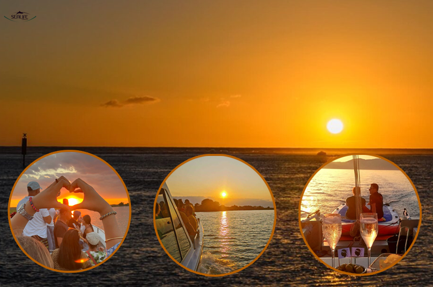 Sortie en mer apéro coucher de soleil (2h)