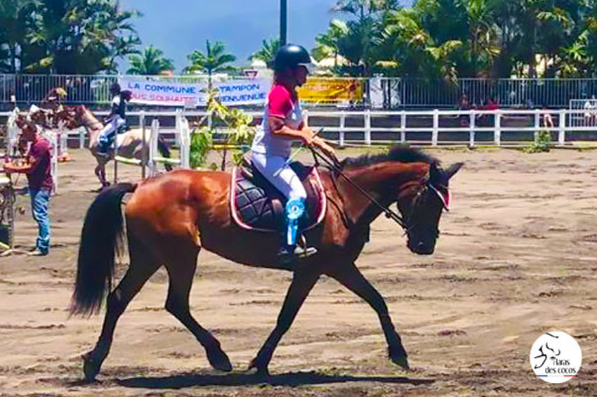 Stage d'équitation (matinée)