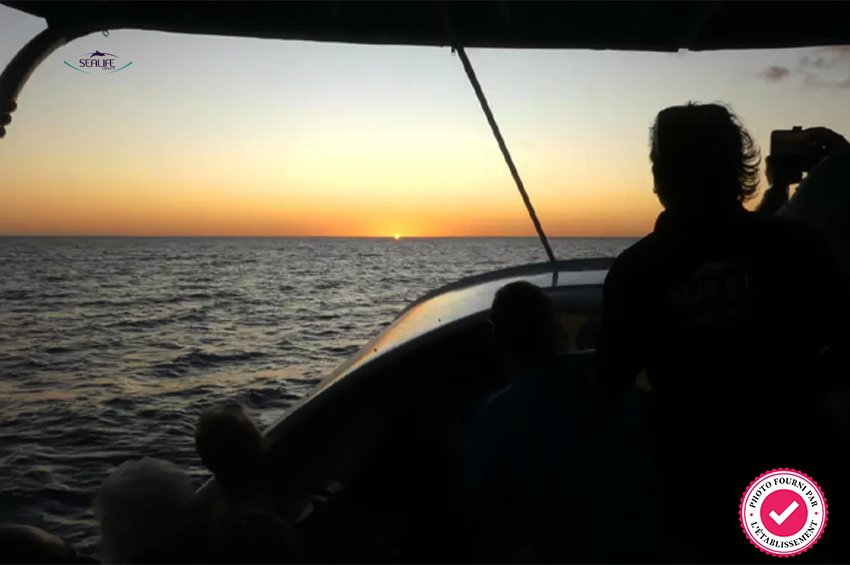 Sortie en mer apéro coucher de soleil (2h)