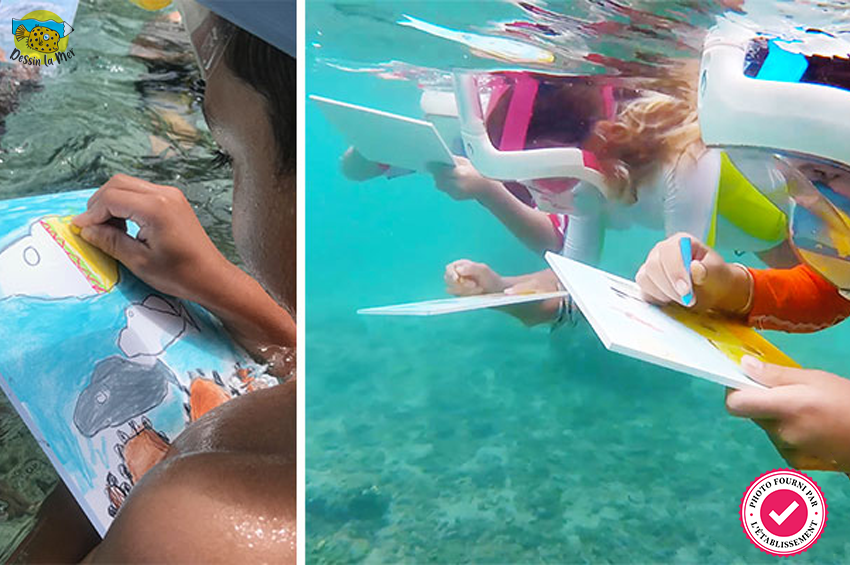 Initiation à l'art du dessin sous l'eau 