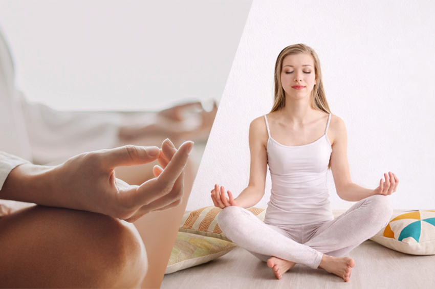 Méditation guidée – Animal de pouvoir (1h)