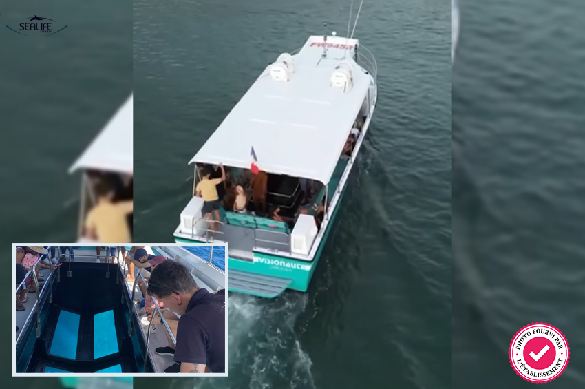 Exploration sous-marine en Visionaute (1h30)