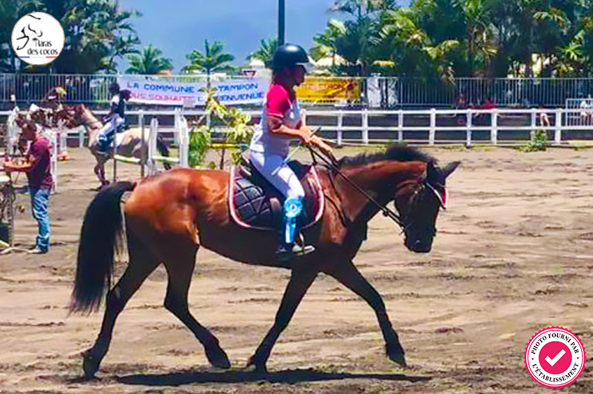 Stage d'équitation (matinée)