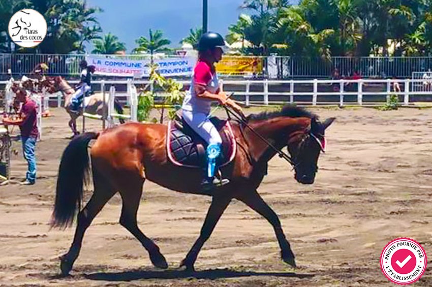 Stage d'équitation (matinée)